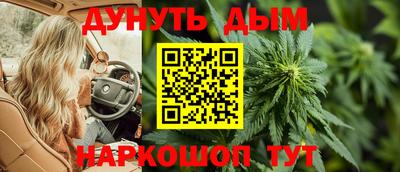 стафф Камышлов