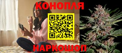 МДПВ Канаш
