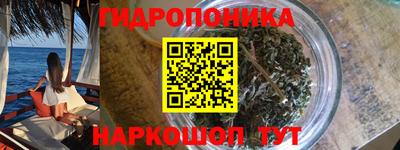 стафф Камышлов