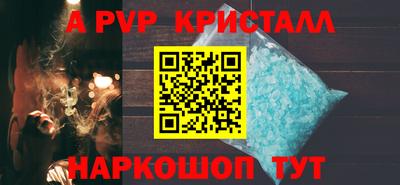 стафф Камышлов