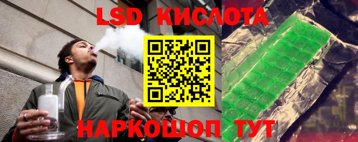 Галлюциногенные грибы Королёв