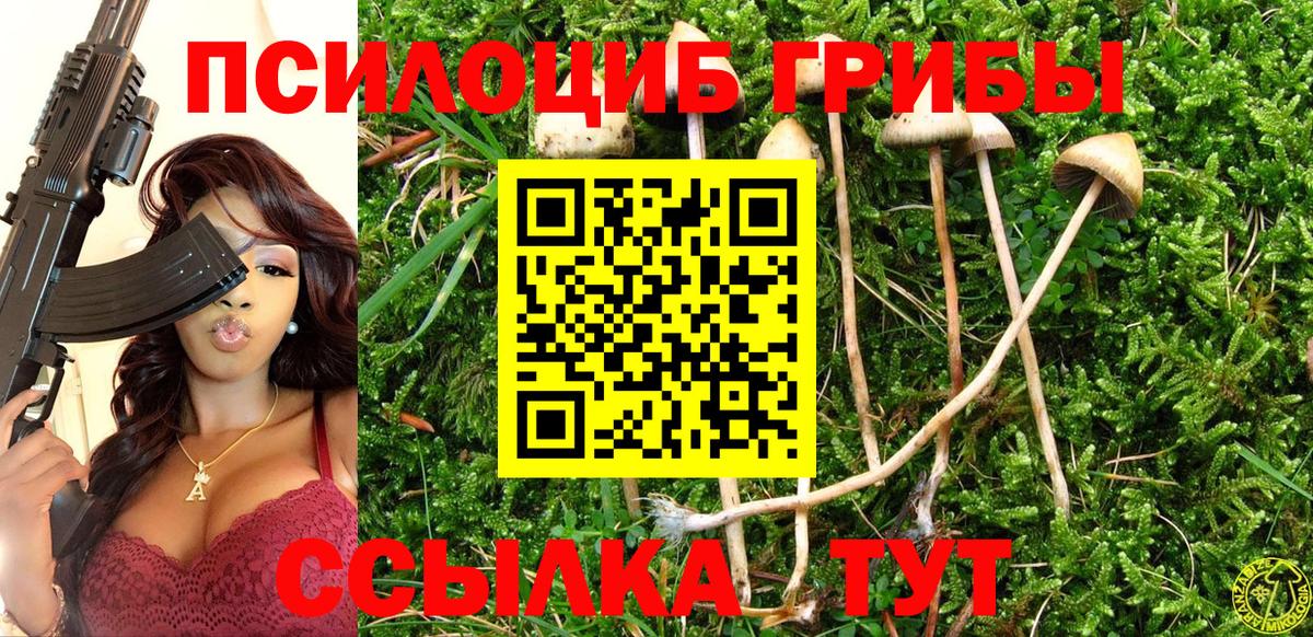 Галлюциногенные грибы GOLDEN TEACHER Королёв