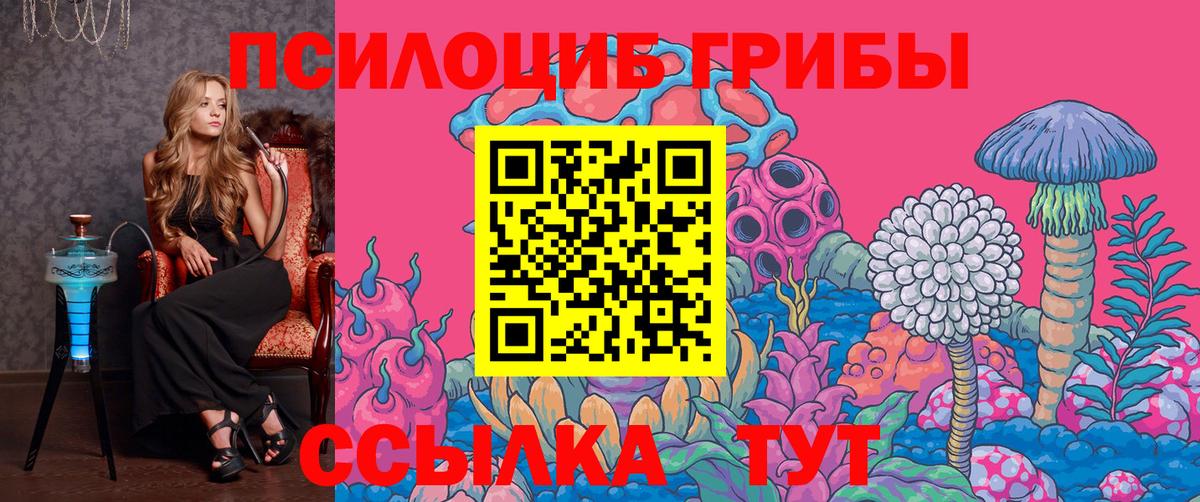 Псилоцибиновые грибы MAGIC MUSHROOMS  Вход с VPN  Королёв 